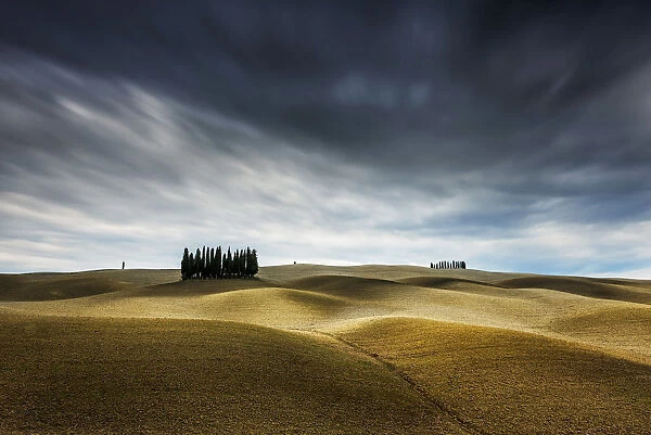 Cypresses and rolling hills near Montalcino, Val d Orcia, Tuscany, Italy