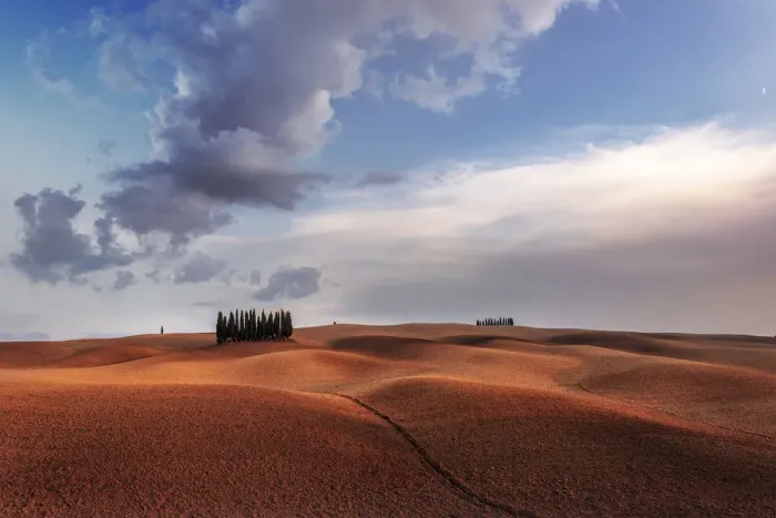 Framed Print : Cypresses and rolling hills at sunset near Montalcino, Val d Orcia, Tuscany, Italy Framed Print : Cypresses and rolling hills at sunset near Montalcino, Val d Orcia, Tuscany, Italy