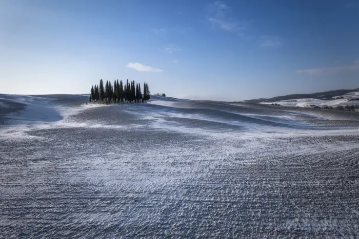 Framed Print : The Cypresses, Val d Orcia, San Quirico, Siena, Tuscany, Italy Framed Print : The Cypresses, Val d Orcia, San Quirico, Siena, Tuscany, Italy