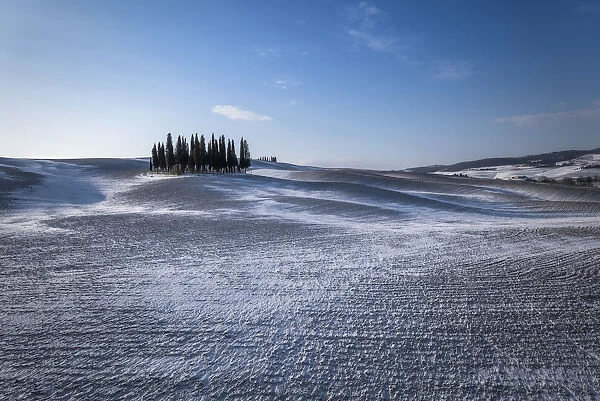 The Cypresses, Val d Orcia, San Quirico, Siena, Tuscany, Italy