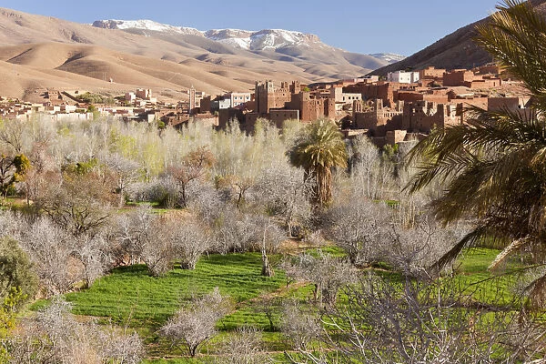 Dades valley, Dades gorges, Ouarzazate region, Morocco