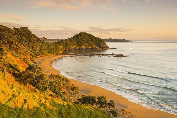 Daisy Bay, Tutukaka, Northland, North Island, New Zealand