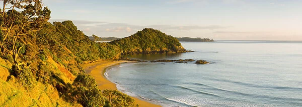 Daisy Bay, Tutukaka, Northland, North Island, New Zealand