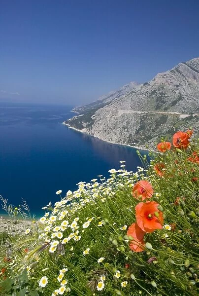Dalmatian coast, Croatia