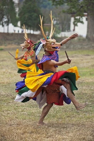 Dancers perform Shazam Tam, the Dance of the Four Stags outside Punakha Dzong. The dance commemorates the subjugation of the troublesome Wind God by Guru Rinpoche who rode the Gods stag in celebration