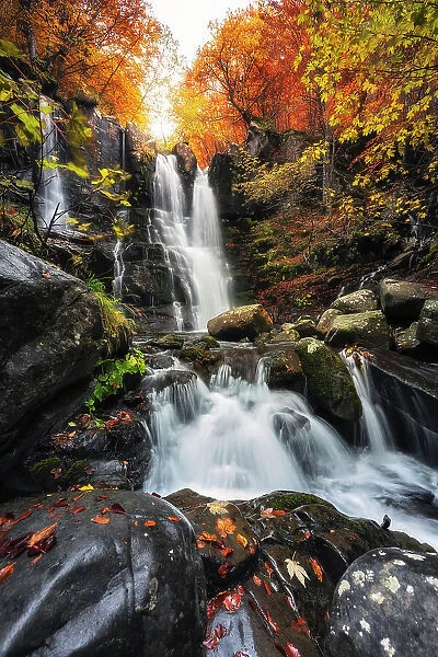 Dardagna waterfalls, Corno Alle Scale Regional Park, Lizzano in Belvedere, Bologna province, Emilia Romagna, Italy