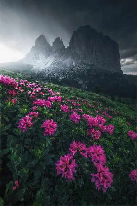 Framed Print : A dark edit for this image taken during a gloomy summer afternoon at the Sella Pass. Dolomites, Italy Framed Print : A dark edit for this image taken during a gloomy summer afternoon at the Sella Pass. Dolomites, Italy