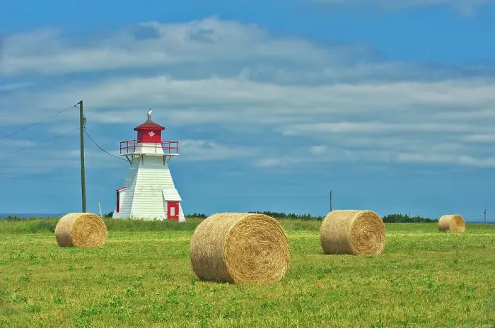 Framed Print : Darnley Lighthouse and bales Darnley, Prince Edward Island, Canada Framed Print : Darnley Lighthouse and bales Darnley, Prince Edward Island, Canada