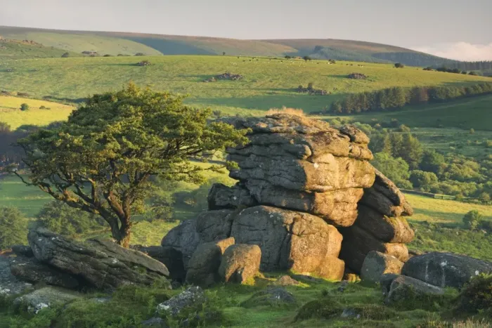 Framed Print : Dartmoor moorland and countryside in summer time, Saddle Tor, Dartmoor, Devon, England Framed Print : Dartmoor moorland and countryside in summer time, Saddle Tor, Dartmoor, Devon, England