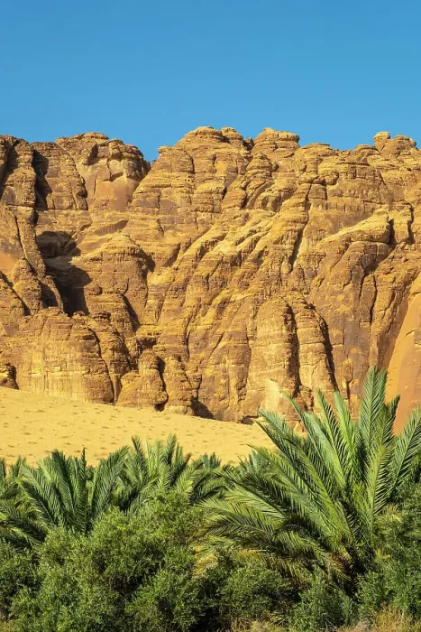 Framed Print : Date palms in the Oasis of Al-Ula, Medina Province, Saudi Arabia Framed Print : Date palms in the Oasis of Al-Ula, Medina Province, Saudi Arabia