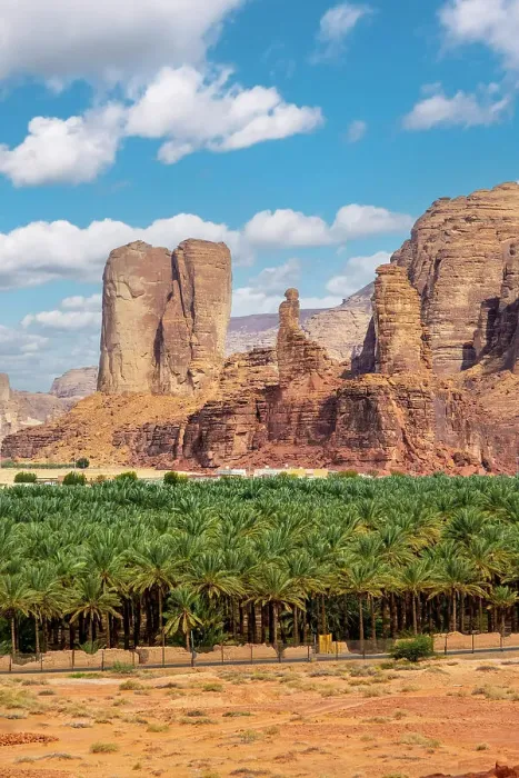 Framed Print : Date palms in the Oasis of Al-Ula, Medina Province, Saudi Arabia Framed Print : Date palms in the Oasis of Al-Ula, Medina Province, Saudi Arabia