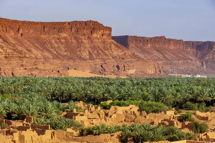 Framed Print : Date palms and old town ruins in the Oasis of Al-Ula, Medina Province, Saudi Arabia Framed Print : Date palms and old town ruins in the Oasis of Al-Ula, Medina Province, Saudi Arabia