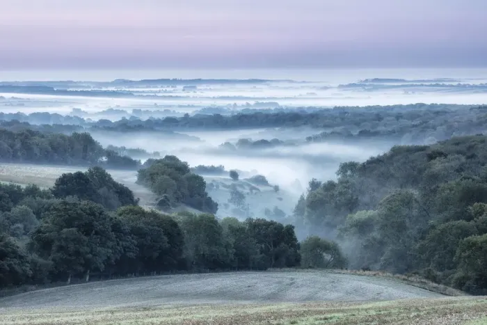 Framed Print : Dawn over Cranborne Chase from Trow Down, Wiltshire, England, UK Framed Print : Dawn over Cranborne Chase from Trow Down, Wiltshire, England, UK
