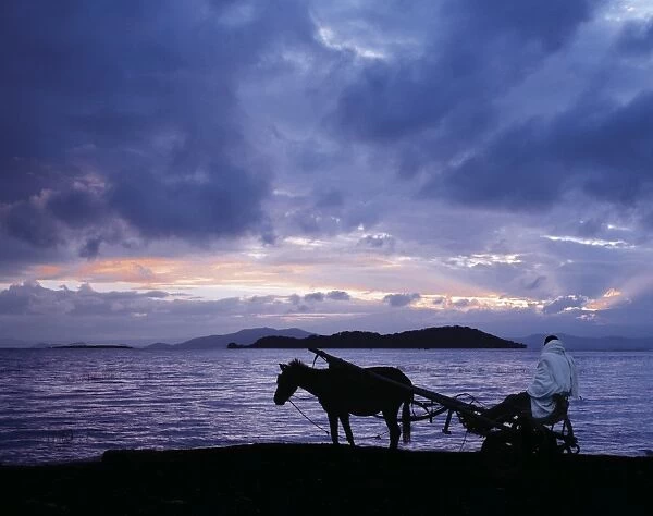 Dawn at Lake Ziway, Central Ethiopia, with the silhouette of a horse-drawn