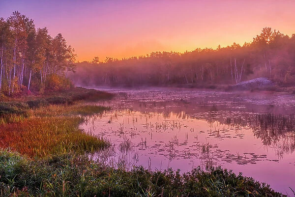 Dawn light on marsh adjacent Lake Laurentian. Lake Laurentian Conservation Area. Sudbury, Ontario, Canada