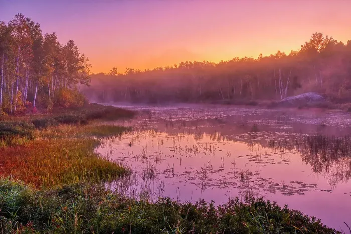 Framed Print : Dawn light on marsh adjacent Lake Laurentian. Lake Laurentian Conservation Area. Sudbury, Ontario, Canada Framed Print : Dawn light on marsh adjacent Lake Laurentian. Lake Laurentian Conservation Area. Sudbury, Ontario, Canada