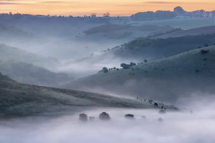 Framed Print : Dawn over Melbury Down and Ashmore Down from Melbury Hill, Cranborne Chase, Dorset, England, UK Framed Print : Dawn over Melbury Down and Ashmore Down from Melbury Hill, Cranborne Chase, Dorset, England, UK