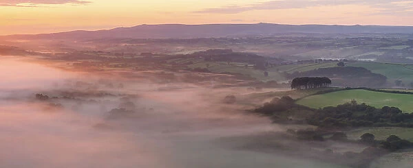 Dawn mist over summer landscape near Cookworthy Knapp (Nearly Home Trees), Lifton, Devon, England. Summer (July) 2023