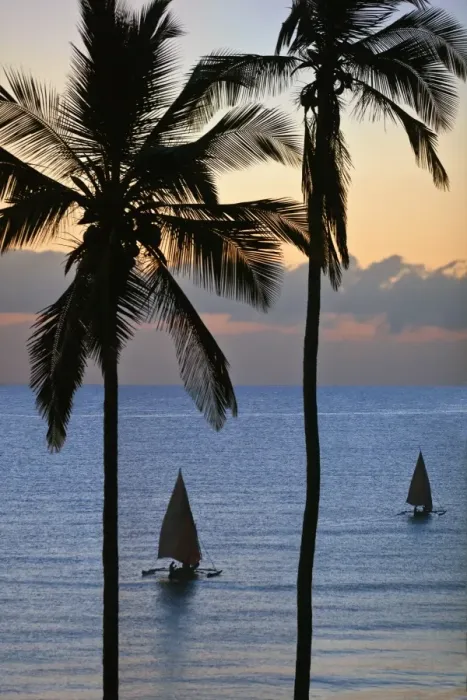 Framed Print : Dawn at Msambweni, south of Mombasa