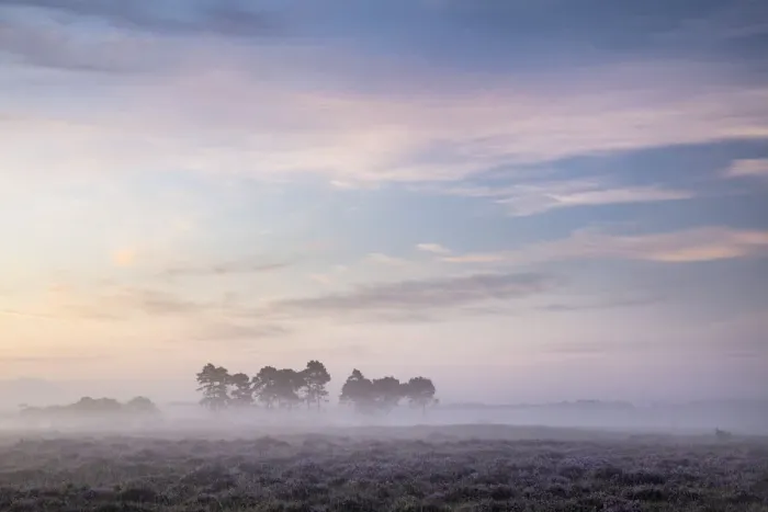 Framed Print : Dawn over Ocknell Plain, New Forest National Park, Hampshire, England, UK Framed Print : Dawn over Ocknell Plain, New Forest National Park, Hampshire, England, UK