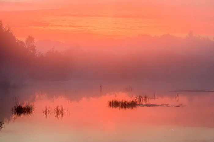 Framed Print : Dawn reflections in a misty beaver pond, Greater Sudbury, Ontario, Canada Framed Print : Dawn reflections in a misty beaver pond, Greater Sudbury, Ontario, Canada