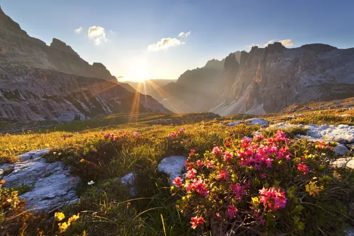 Framed Print : Dawn on Sassovecchio Valley with Crode Fiscaline, Dolomites, Dobbiaco, South Tyrol Framed Print : Dawn on Sassovecchio Valley with Crode Fiscaline, Dolomites, Dobbiaco, South Tyrol