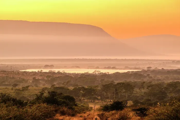 Framed Print : Dawn in the savannah, Zimanga Private Game Reserve, Mkuze, KwaZulu Natal, South Africa Framed Print : Dawn in the savannah, Zimanga Private Game Reserve, Mkuze, KwaZulu Natal, South Africa