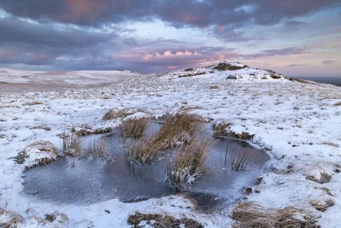 Framed Print : Dawn sky over frozen pool on moorland near East Mill Tor, Dartmoor, Devon, England Framed Print : Dawn sky over frozen pool on moorland near East Mill Tor, Dartmoor, Devon, England
