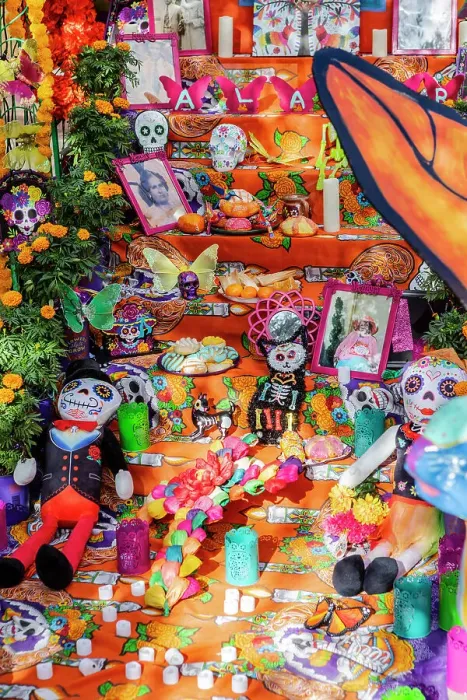 Framed Print : Day of the Dead Festival, San Antonio, Texas, USA