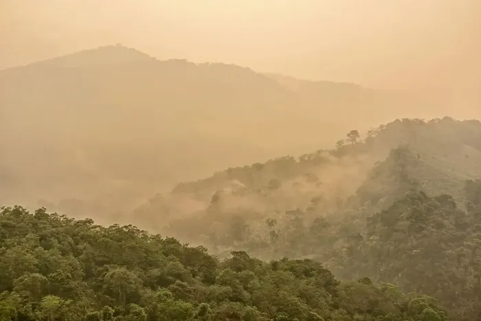 Framed Print : Daybreak over Amazonian rainforest in the Cordillera escalera of the foothills of the Andes Mountains, Tarapoto Peru Framed Print : Daybreak over Amazonian rainforest in the Cordillera escalera of the foothills of the Andes Mountains, Tarapoto Peru