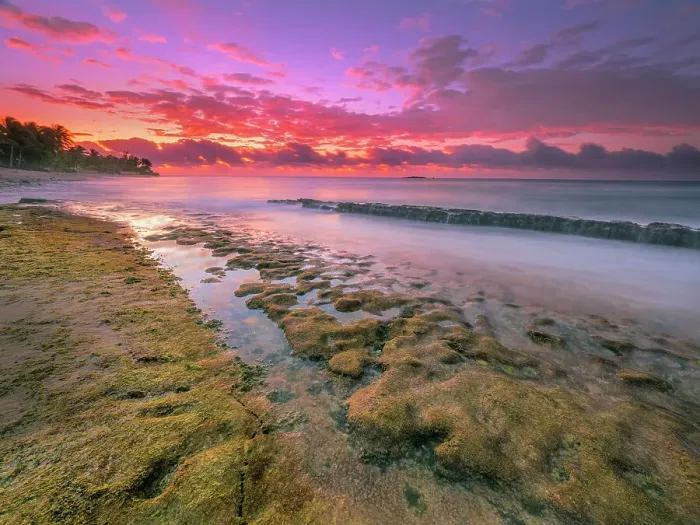 Framed Print : Daybreak on the Caribbean Sea at Consuelos Beach on Grand Cayman, Cayman Islands, British West Indies Framed Print : Daybreak on the Caribbean Sea at Consuelos Beach on Grand Cayman, Cayman Islands, British West Indies