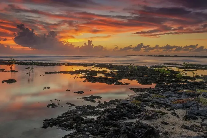 Framed Print : Daybreak on the ironshore of Grand Cayman, Cayman Islands, British West Indies