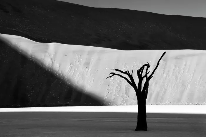 Framed Print : Dead camel thorn tree on a dried-up white mud pan with towering sand dunes in the distance, Dead Vlei, Namib-Naukluft National Park, Namib Desert, Namibia, Africa Framed Print : Dead camel thorn tree on a dried-up white mud pan with towering sand dunes in the distance, Dead Vlei, Namib-Naukluft National Park, Namib Desert, Namibia, Africa