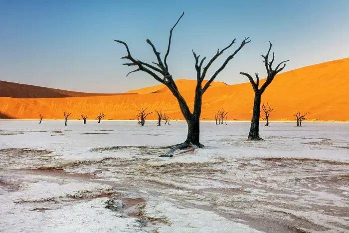 Framed Print : Dead camel thorn trees on a dried-up white mud pan & sand dunes, Dead Vlei, Namib-Naukluft National Park, Namib Desert, Namibia Framed Print : Dead camel thorn trees on a dried-up white mud pan & sand dunes, Dead Vlei, Namib-Naukluft National Park, Namib Desert, Namibia