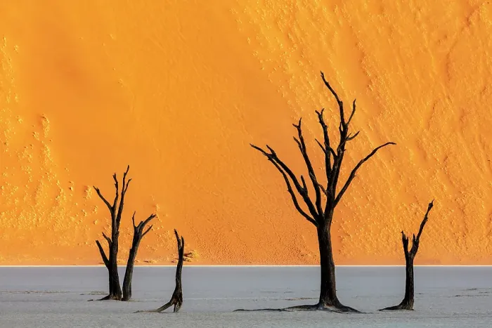 Framed Print : Dead camel thorn trees on a dried-up white mud pan & sand dunes, Dead Vlei, Namib-Naukluft National Park, Namib Desert, Namibia