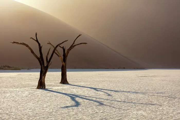 Framed Print : Dead camel thorn trees on a dried-up white mud pan & sand dunes, Dead Vlei, Namib-Naukluft National Park, Namib Desert, Namibia Framed Print : Dead camel thorn trees on a dried-up white mud pan & sand dunes, Dead Vlei, Namib-Naukluft National Park, Namib Desert, Namibia