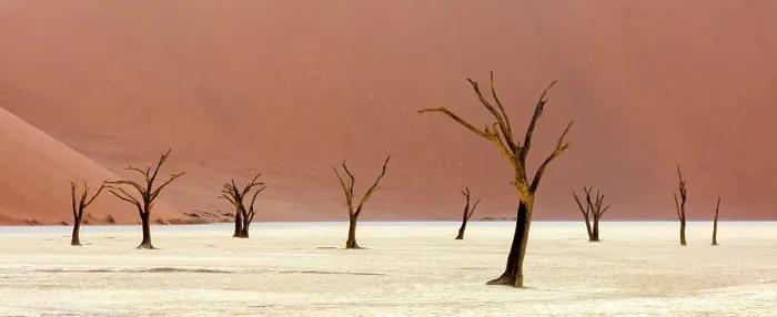 Framed Print : Dead camel thorn trees on a dried-up white mud pan & sand dunes, Dead Vlei, Namib-Naukluft National Park, Namibia Framed Print : Dead camel thorn trees on a dried-up white mud pan & sand dunes, Dead Vlei, Namib-Naukluft National Park, Namibia
