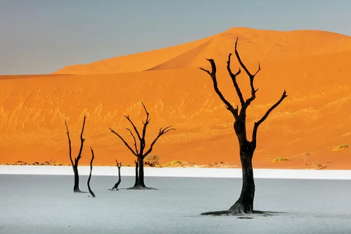 Framed Print : Dead camel thorn trees on a dried-up white mud pan & sand dunes, Dead Vlei, Namib-Naukluft National Park, Namib Desert, Namibia Framed Print : Dead camel thorn trees on a dried-up white mud pan & sand dunes, Dead Vlei, Namib-Naukluft National Park, Namib Desert, Namibia
