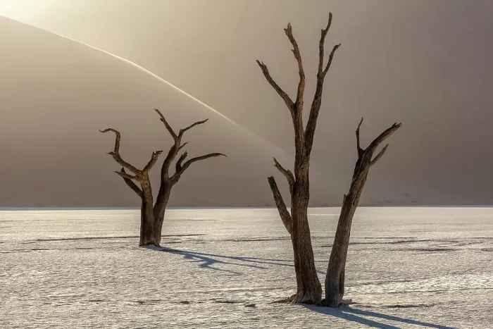 Framed Print : Dead camel thorn trees on a dried-up white mud pan & sand dunes, Dead Vlei, Namib-Naukluft National Park, Namib Desert, Namibia Framed Print : Dead camel thorn trees on a dried-up white mud pan & sand dunes, Dead Vlei, Namib-Naukluft National Park, Namib Desert, Namibia