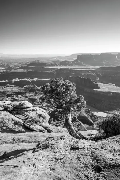 Framed Print : Dead Horse Point State Park, Utah, USA