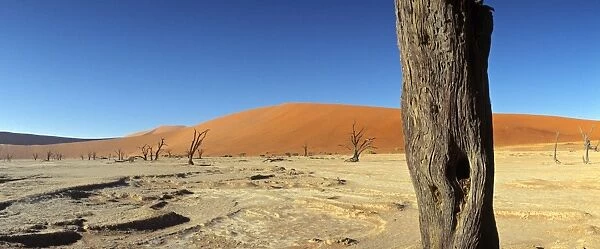 Dead Vlei Salt Pan, Sossusvlei, Namibia