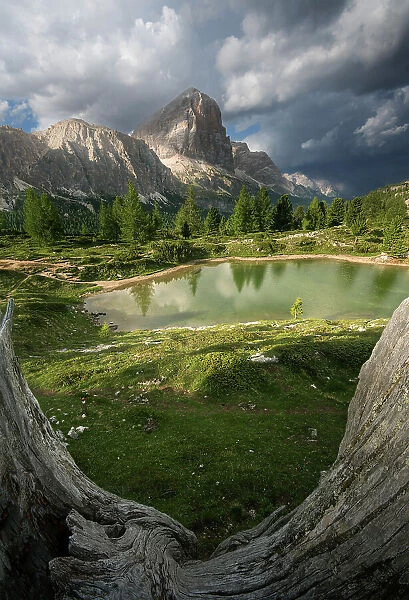 A dead wood chunk frames a lovely summer scenes with the Limides lake and the Tofana rising in the background. Dolomites, Italy