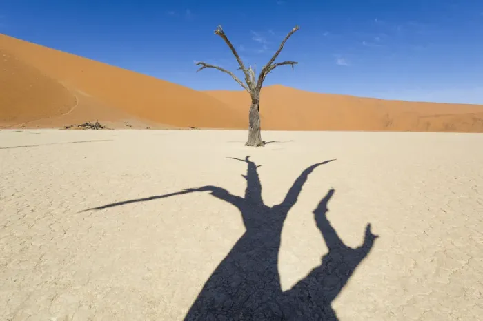 Framed Print : Deadvlei, Namib desert, Namibia, Africa. Dead acacia pan Framed Print : Deadvlei, Namib desert, Namibia, Africa. Dead acacia pan