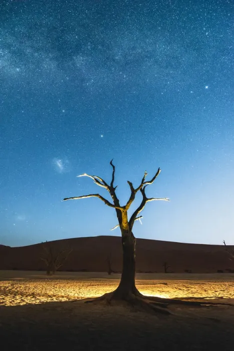 Framed Print : Deadvlei, Namib-Naukluft National Park, Namibia, Africa. Dead acacia trees at night Framed Print : Deadvlei, Namib-Naukluft National Park, Namibia, Africa. Dead acacia trees at night