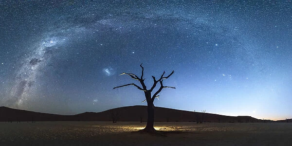 Deadvlei, Namib-Naukluft National Park, Namibia, Africa. Dead acacia trees at night