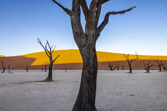 Framed Print : Deadvlei, Naukluft National Park, Namibia Framed Print : Deadvlei, Naukluft National Park, Namibia
