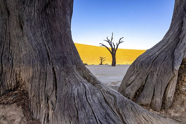 Deadvlei, Naukluft National Park, Namibia