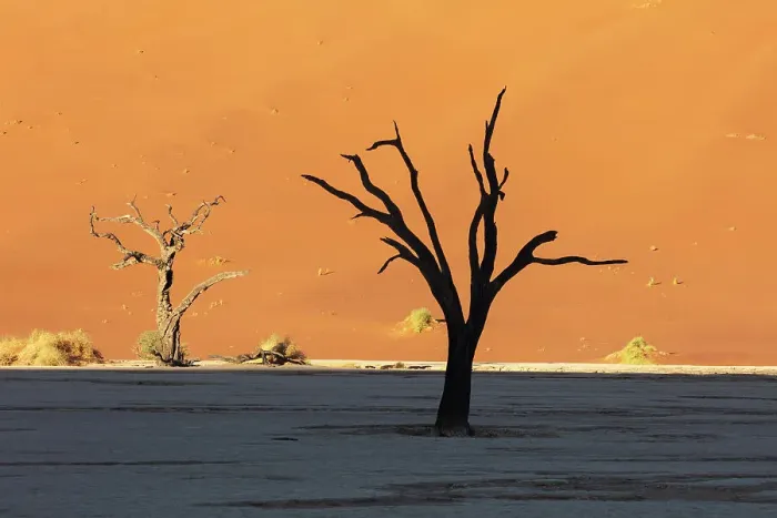 Framed Print : Deadvlei salt pan, Sossuvlei, Namib Naukluft National Park, Hardap region, Namibia, Africa Framed Print : Deadvlei salt pan, Sossuvlei, Namib Naukluft National Park, Hardap region, Namibia, Africa
