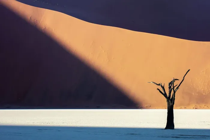 Framed Print : Deadvlei salt pan, Sossuvlei, Namib Naukluft National Park, Hardap region, Namibia, Africa Framed Print : Deadvlei salt pan, Sossuvlei, Namib Naukluft National Park, Hardap region, Namibia, Africa