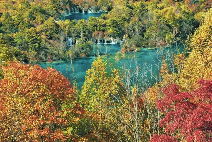 Framed Print : Deciduous forest in autumn colours at Shuzheng Lakes - China, Sichuan, Jiuzhaigou Framed Print : Deciduous forest in autumn colours at Shuzheng Lakes - China, Sichuan, Jiuzhaigou